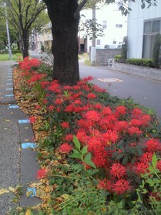 130923-2.jpg