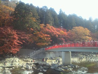 131124-1.jpg