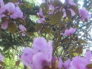 160424-19.jpg