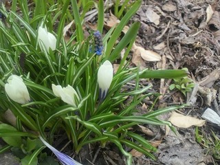 160501-1.jpg